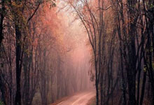 FB体育：斯基拉：皇马希望魔笛下赛季继续留队，准备为他提供续约合同.