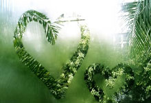 FB体育：以体树人 发展学校体育.