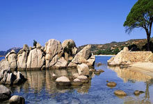 FB体育：【新春走基层】盐碱地变“金疙瘩”.